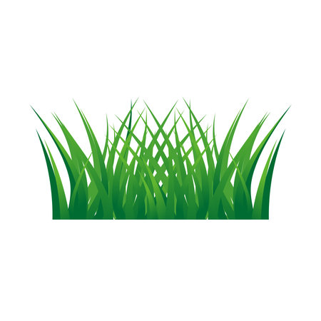 Green grass designs isolated on white backgroundのイラスト素材
