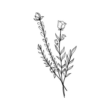 Sketch Style Leaves and Flowers isolated on white backgroundのイラスト素材
