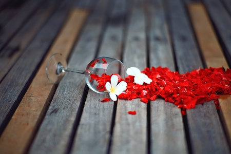 flowers compositionの写真素材