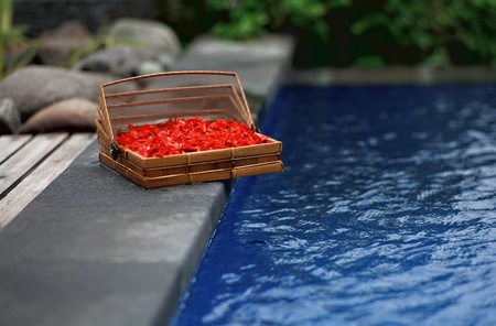 watercolorsの写真素材