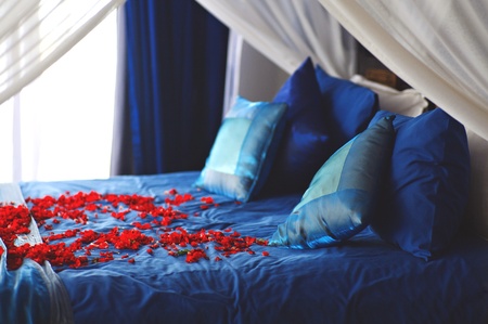 many red colors on a bedの写真素材