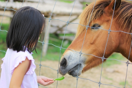Close up children and horseの写真素材