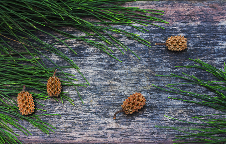 Pine cones and pine leaves on wooden floors, copying spaces and backgrounds.の写真素材
