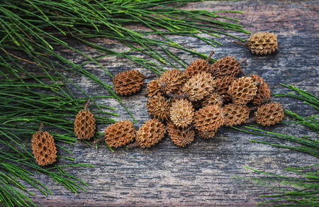 Pine cones and pine leaves on wooden floors, copying spaces and backgrounds.の写真素材