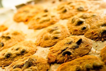 Homemade chocolate chip cookies fresh from the ovenの写真素材