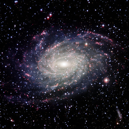 The galaxy system with a bright optical centre.