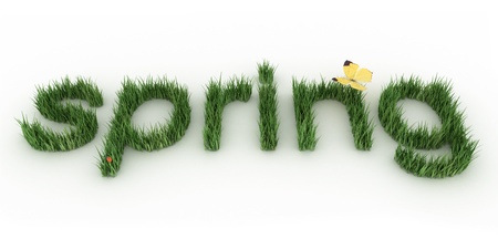 The word spring made of a green grass.の写真素材