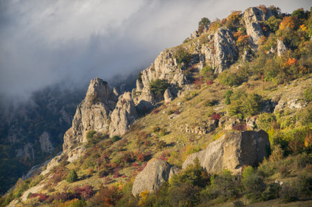 Beautiful autumn  landscape in the mountains.の写真素材