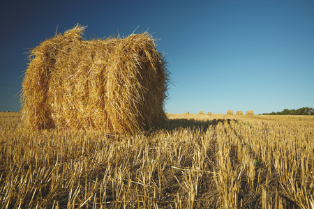 Hay bale on field with wheat straw and sky, rural landscape in the agriculture farm land at summer.の写真素材