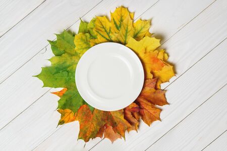 Ceramic plate and fallen leaves on a white wood background autumn thanksgiving top.の写真素材