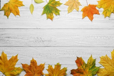 Autumn border with leaves on vintage white wood background.の写真素材