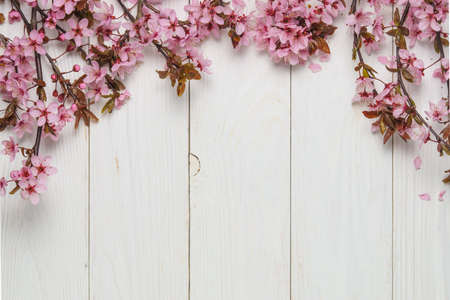 Spring and summer cherry pink blossom on a vintage wood background. Space for text.の写真素材