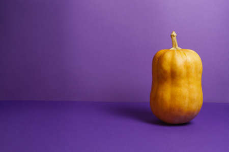 Orange pumpkin on violet paper background with space for text.の写真素材