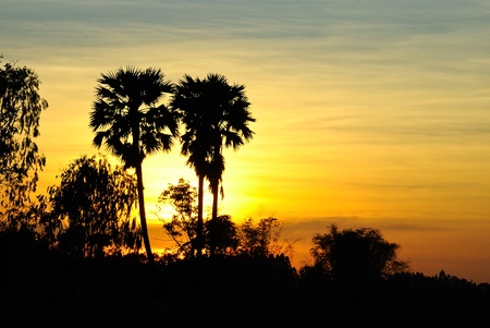 field in Thailandの写真素材