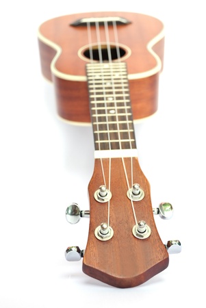 ukulele on the white backgroundの写真素材