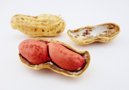 Peanuts with white backgroundの写真素材