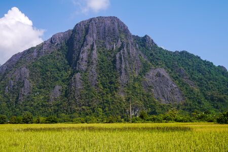 Rice field in Vang Vieng, Laosの写真素材