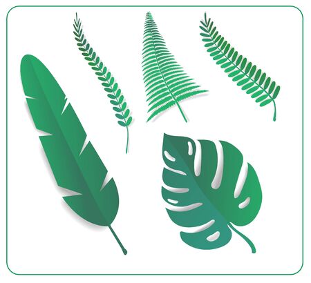 Set of tropical leafs.Vector Illustrationのイラスト素材