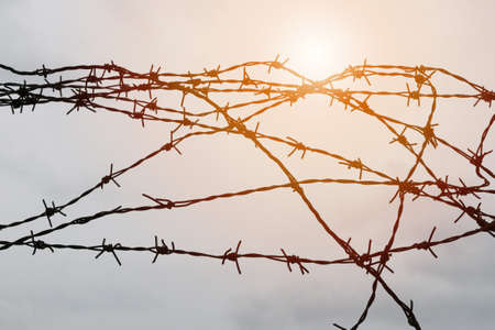 Barbed wire on sunset backgroundの写真素材
