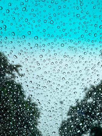 Water droplets on a car windshield.