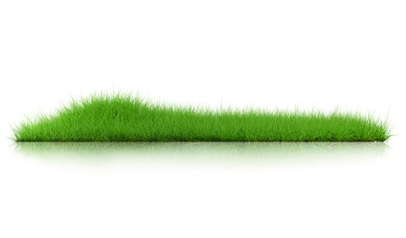 Grass isolated on white background. 3d rendering illustration.の写真素材