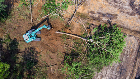 The top view of the deforestation.