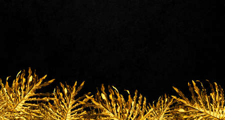 Gold Monstera leaves on a dark background.の写真素材