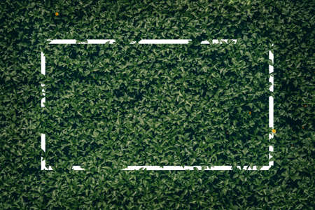 Text frame with tropical leaves as a background.の写真素材