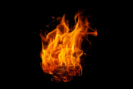 Fire flame on black background.の素材