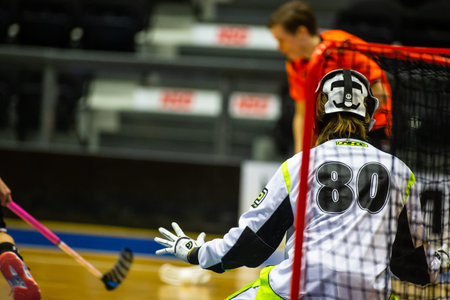Lulea, Sweden - february 25, 2017: Lulea Energi Arena, Floorball division 1, IBK LuleŒ vs...