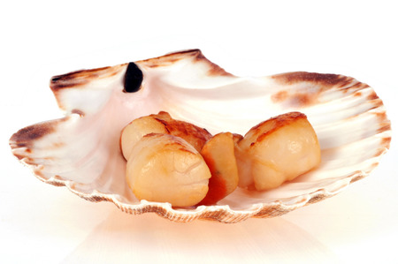 Cooked St. Jacques Shellsの写真素材