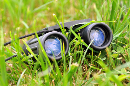 Pair of binoculars lying in the grassの写真素材