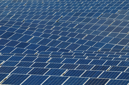 The solar panels