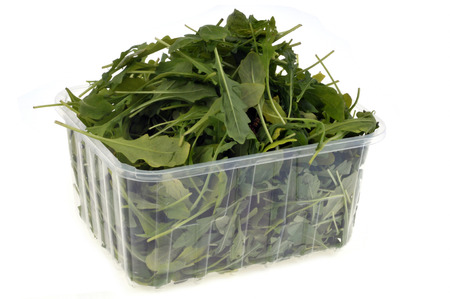 Arugula trayの写真素材