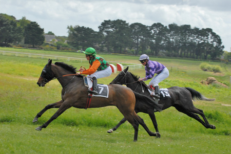 Horse raceのeditorial素材