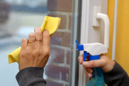 Wash the windows