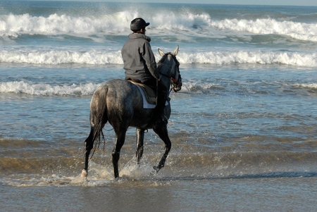 Rider at the seasideの写真素材