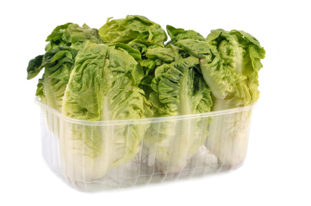 Small salads in a containerの写真素材