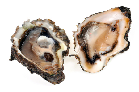 Open oystersの写真素材