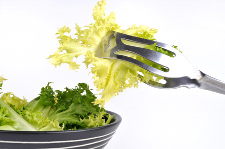 Curly lettuceの写真素材