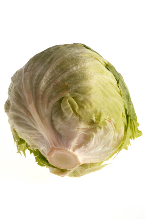 Iceberg saladの写真素材