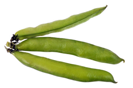 Pea pods on a white background