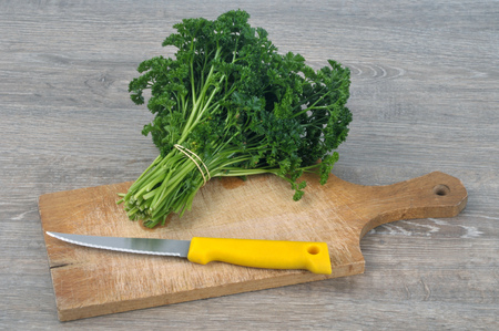 Bouquet of parsley on a cutting boardの写真素材