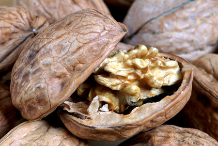 Open walnut close-up on other nuts