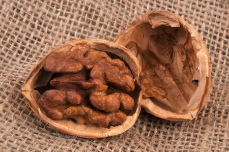 Walnut kernel close-up on a burlap