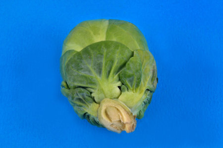 Raw brussels sprouts close up on blue background