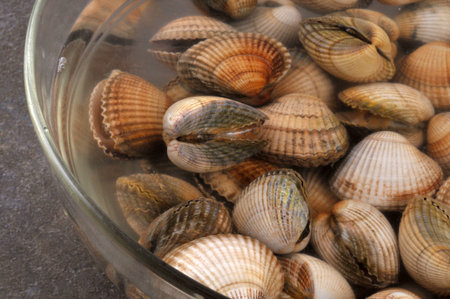 Sandblasting cockles in a bowl filled with water close-upの写真素材
