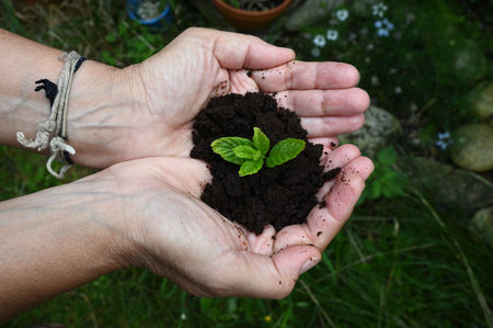 Someone with coffee grounds and a young sprout in his hands