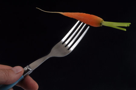 Organic raw carrot pricked on a fork close-up on black background