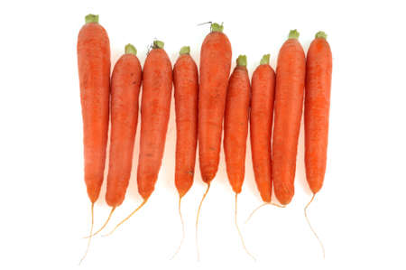 Organic raw carrots lined up close-up on white backgroundの写真素材